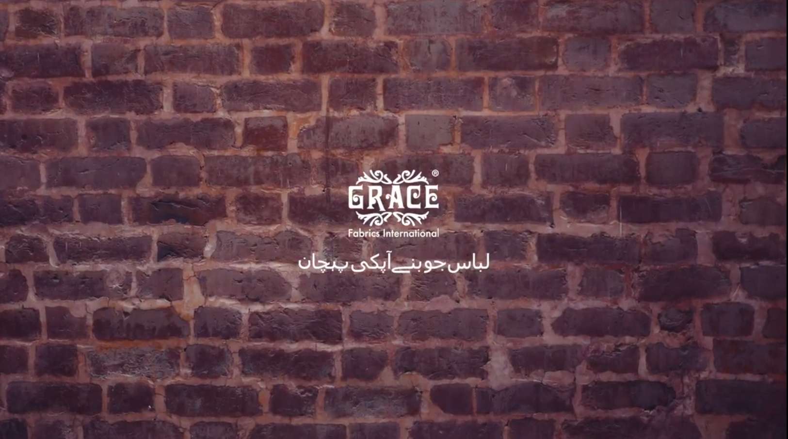 dorabot.resized_image_8